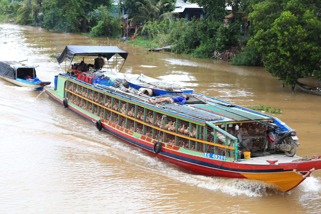 Colorful Mekong river boat cruising along a local canal
