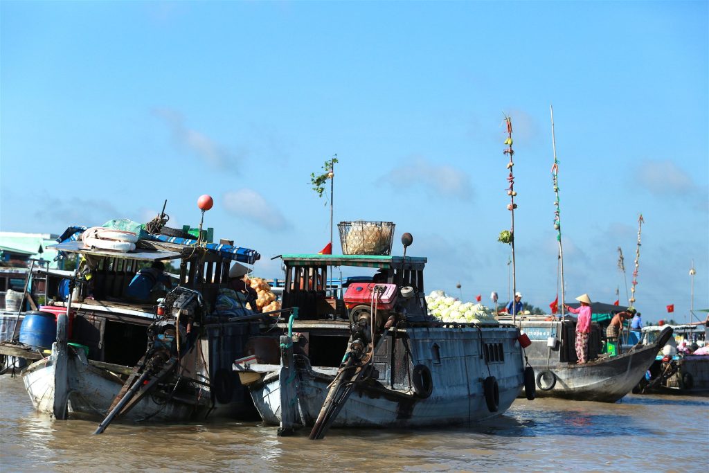 A boat moves through a Mekong canal behind a flock of ducks