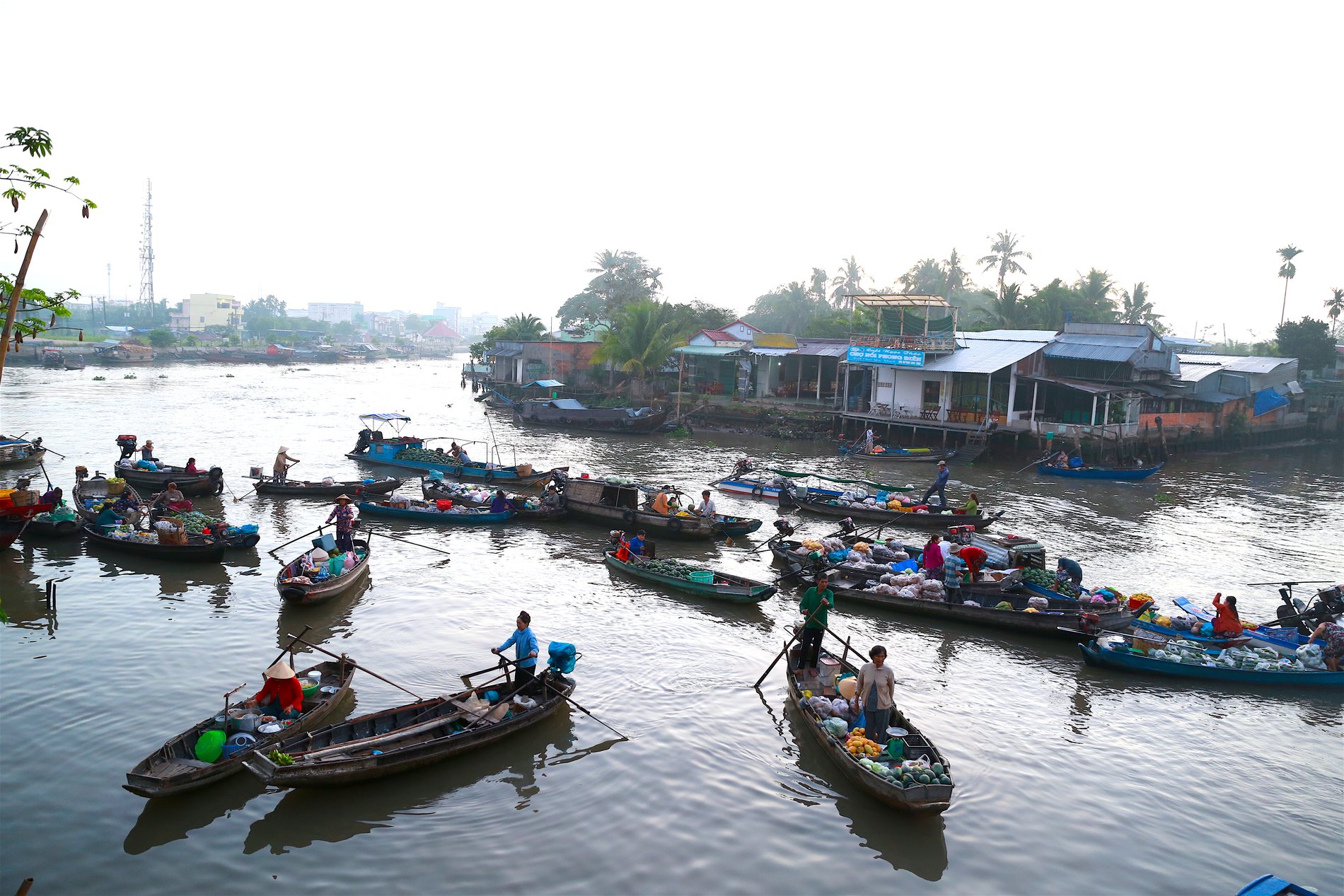 Garden homestay and waterway in coconut country
